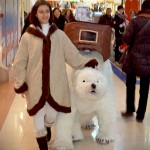 Orso Nanuk