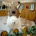 Orso Nanuk